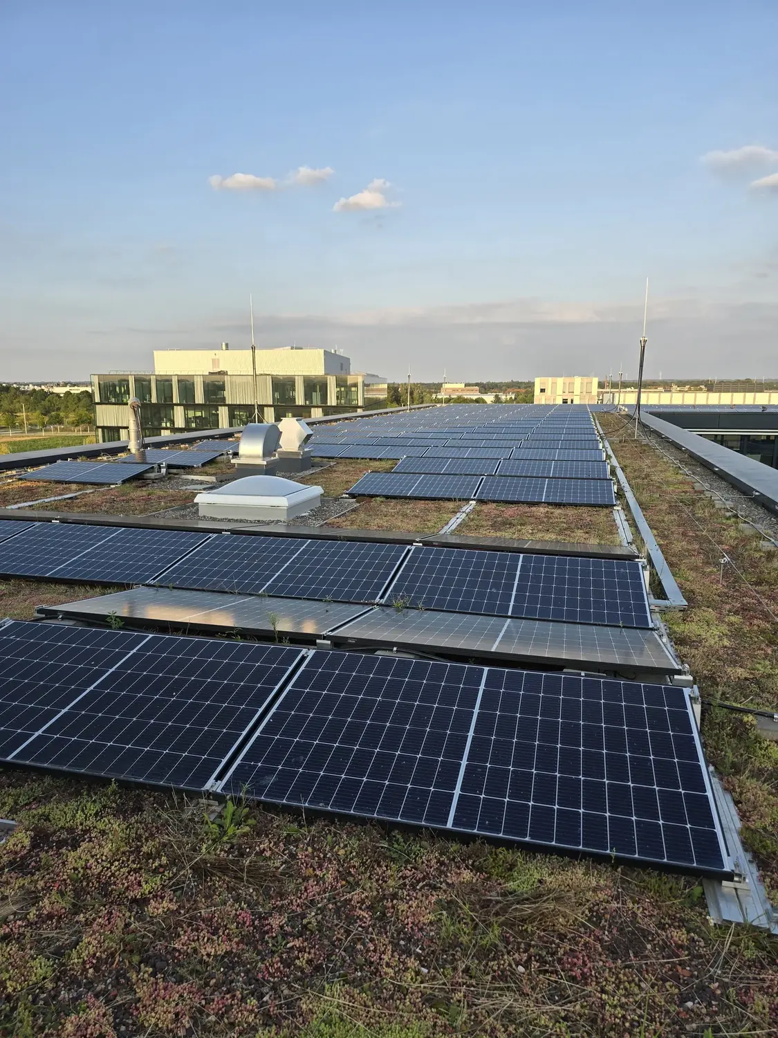 Großflächige Photovoltaikanlage auf einem begrünten Flachdach
